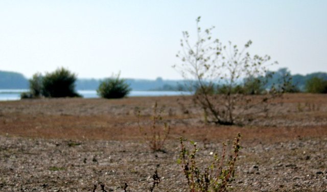 Paysages #2