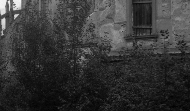 Souvenir venue de l'Est