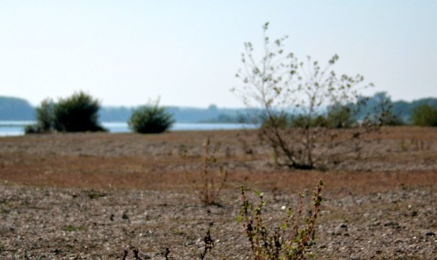 Landscapes #2