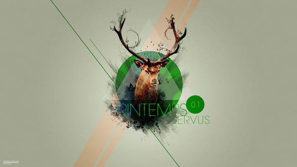 Cerf au printemps