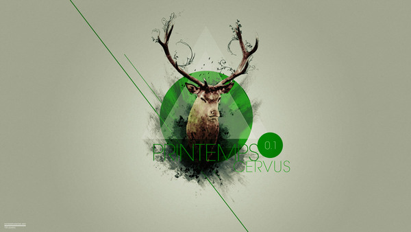 Cerf du latin cervus