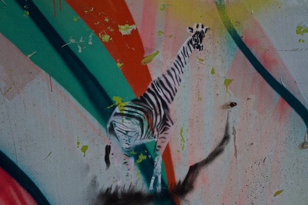 Graffiti, art de la bombe