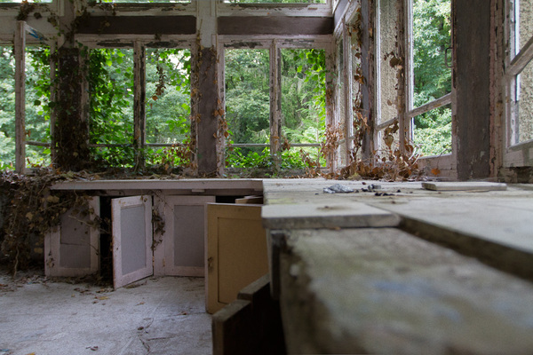 La nature reprend ses droits dans le Sanatorium d'Aincourt