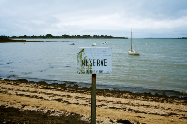 Golfe du Morbihan, 2008