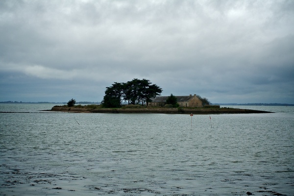 Golfe du Morbihan, 2008