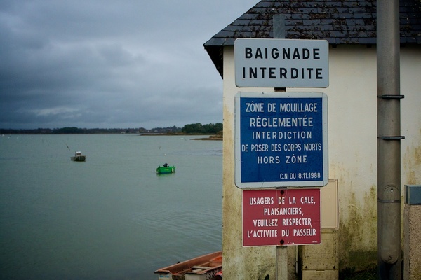 Golfe du Morbihan, 2008