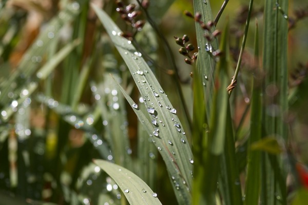 Reflet sur des gouttes d'eau