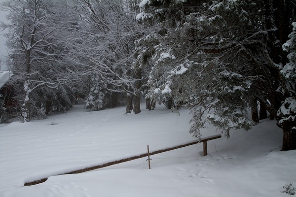 Il n'y a presque plus de paysage