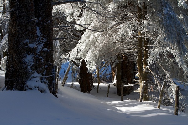 Chemin de randonnée sous la neige
